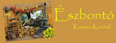 Eszbonto  banner